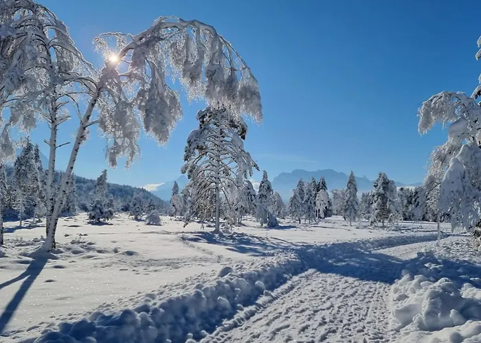 Alpenchalet St.Ulrich