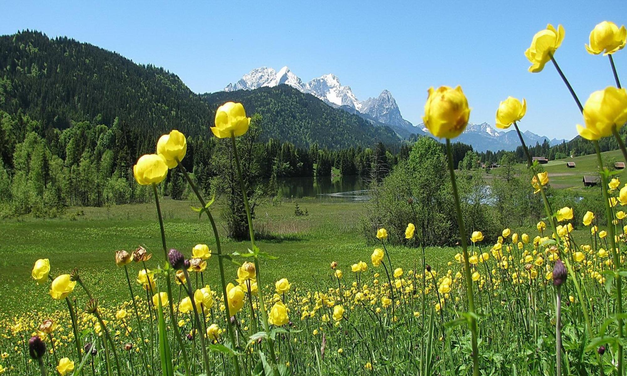Alpenchalet St.ulrich Appartement