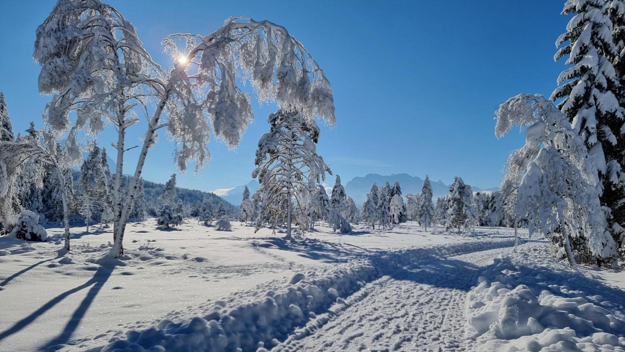 Alpenchalet St.ulrich * Krün